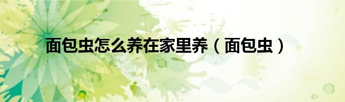 面包虫怎么养在家里养（面包虫）