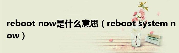 reboot now是什么意思（reboot system now）