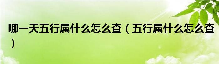 哪一天五行属什么怎么查（五行属什么怎么查）