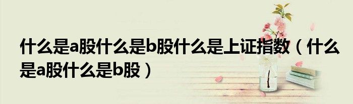 什么是a股什么是b股什么是上证指数（什么是a股什么是b股）
