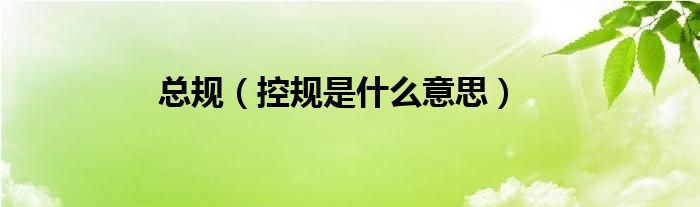 总规（控规是什么意思）