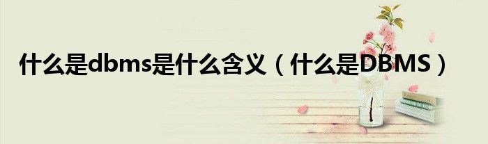 什么是dbms是什么含义（什么是DBMS）