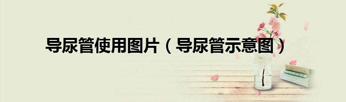 导尿管使用图片（导尿管示意图）