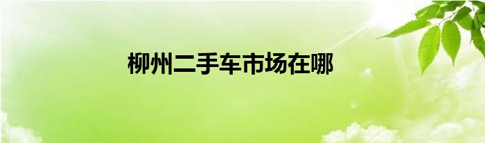 柳州二手车市场在哪