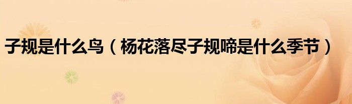 子规是什么鸟（杨花落尽子规啼是什么季节）