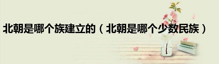 北朝是哪个族建立的（北朝是哪个少数民族）