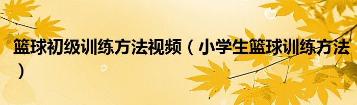 篮球初级训练方法视频（小学生篮球训练方法）