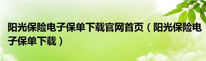 阳光保险电子保单下载官网首页（阳光保险电子保单下载）