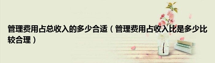 管理费用占总收入的多少合适（管理费用占收入比是多少比较合理）
