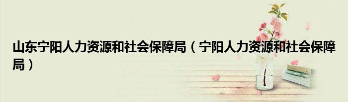 山东宁阳人力资源和社会保障局（宁阳人力资源和社会保障局）