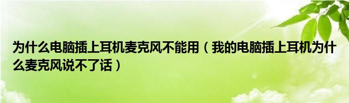 为什么电脑插上耳机麦克风不能用（我的电脑插上耳机为什么麦克风说不了话）
