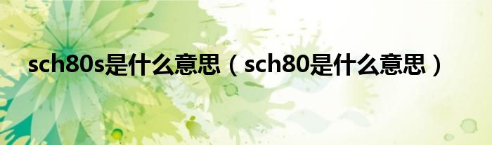 sch80s是什么意思（sch80是什么意思）