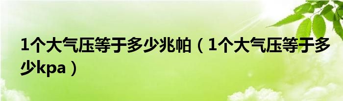 1个大气压等于多少兆帕（1个大气压等于多少kpa）