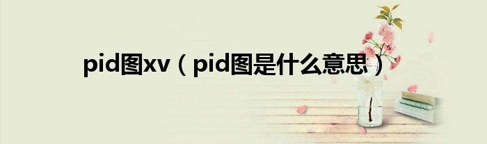 pid图xv（pid图是什么意思）
