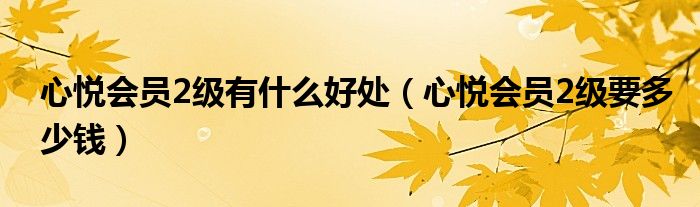 心悦会员2级有什么好处（心悦会员2级要多少钱）