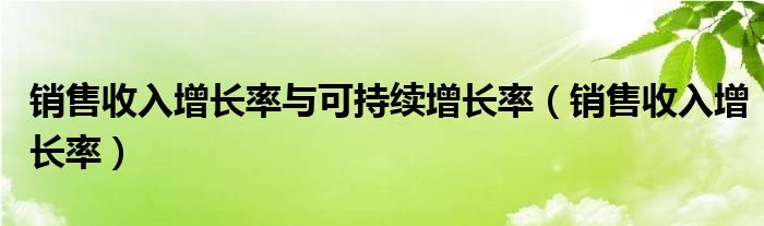 销售收入增长率与可持续增长率（销售收入增长率）