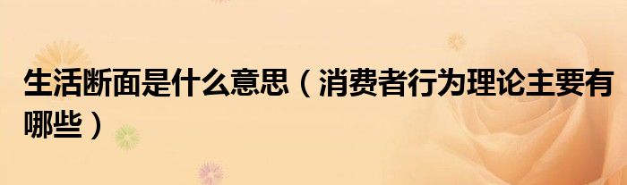 生活断面是什么意思（消费者行为理论主要有哪些）