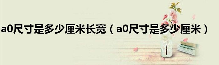 a0尺寸是多少厘米长宽（a0尺寸是多少厘米）