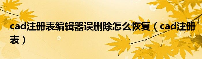 cad注册表编辑器误删除怎么恢复（cad注册表）