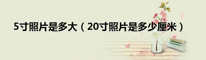 5寸照片是多大（20寸照片是多少厘米）