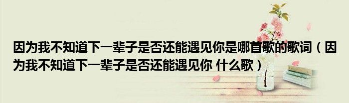 因为我不知道下一辈子是否还能遇见你是哪首歌的歌词（因为我不知道下一辈子是否还能遇见你 什么歌）