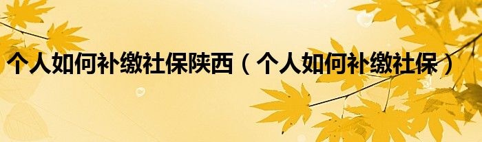 个人如何补缴社保陕西（个人如何补缴社保）