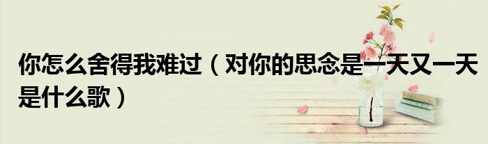你怎么舍得我难过（对你的思念是一天又一天是什么歌）