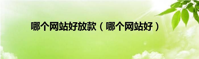 哪个网站好放款（哪个网站好）