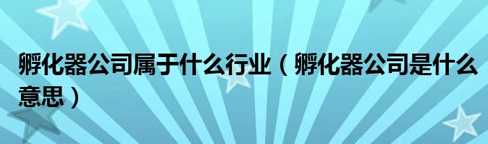孵化器公司属于什么行业（孵化器公司是什么意思）