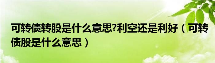 可转债转股是什么意思?利空还是利好（可转债股是什么意思）