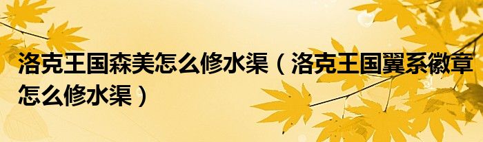 洛克王国森美怎么修水渠（洛克王国翼系徽章怎么修水渠）