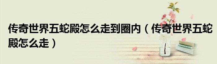 传奇世界五蛇殿怎么走到圈内（传奇世界五蛇殿怎么走）