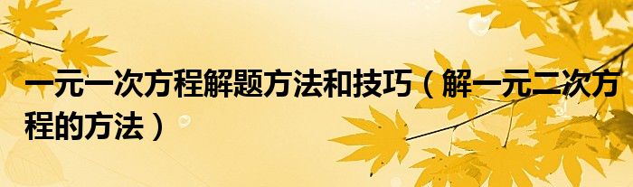 一元一次方程解题方法和技巧（解一元二次方程的方法）