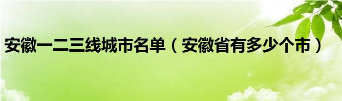 安徽一二三线城市名单（安徽省有多少个市）