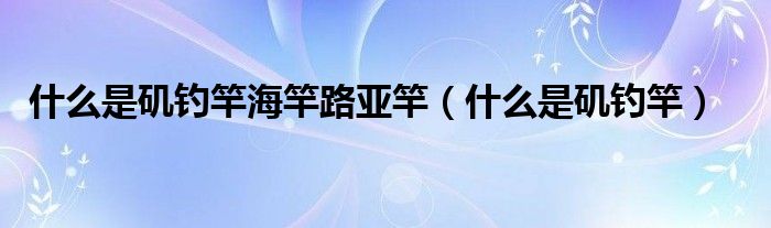 什么是矶钓竿海竿路亚竿（什么是矶钓竿）