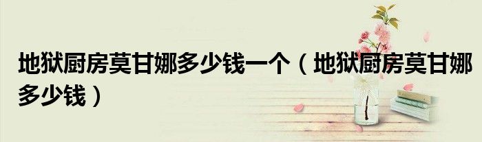 地狱厨房莫甘娜多少钱一个（地狱厨房莫甘娜多少钱）