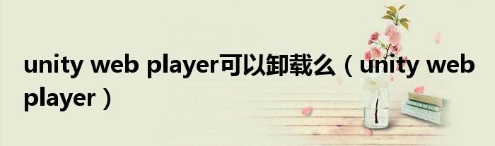 unity web player可以卸载么（unity web player）