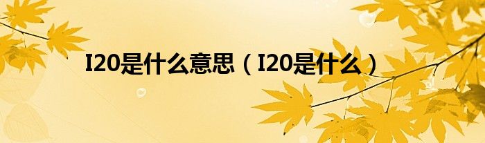 I20是什么意思（I20是什么）