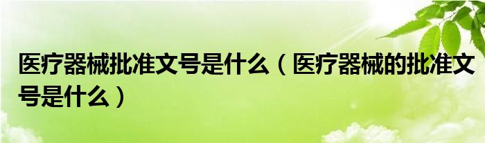 医疗器械批准文号是什么（医疗器械的批准文号是什么）