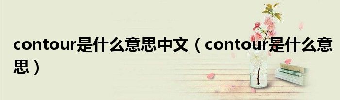 contour是什么意思中文（contour是什么意思）