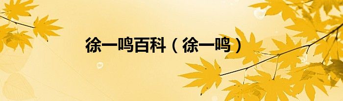 徐一鸣百科（徐一鸣）