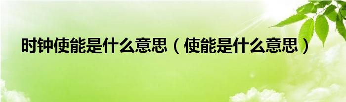 时钟使能是什么意思（使能是什么意思）