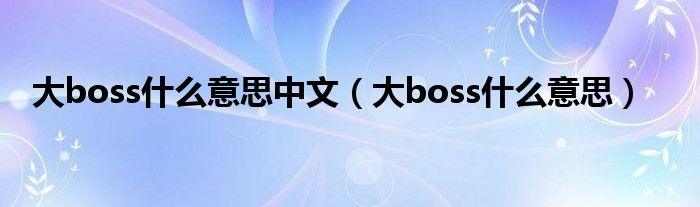 大boss什么意思中文（大boss什么意思）
