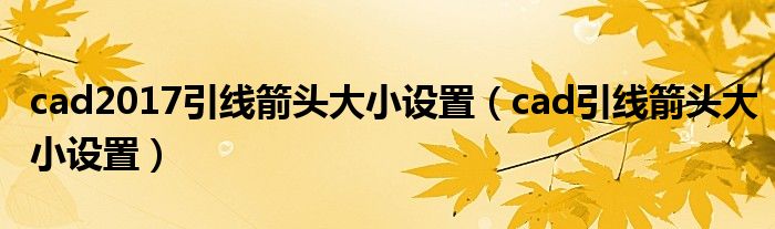cad2017引线箭头大小设置（cad引线箭头大小设置）