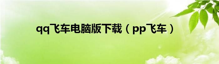 qq飞车电脑版下载（pp飞车）