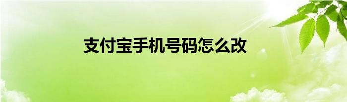 支付宝手机号码怎么改