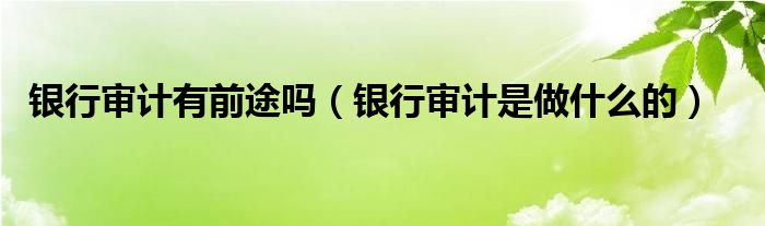 银行审计有前途吗（银行审计是做什么的）