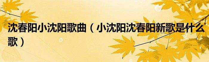 沈春阳小沈阳歌曲（小沈阳沈春阳新歌是什么歌）