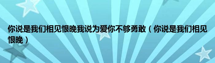 你说是我们相见恨晚我说为爱你不够勇敢（你说是我们相见恨晚）