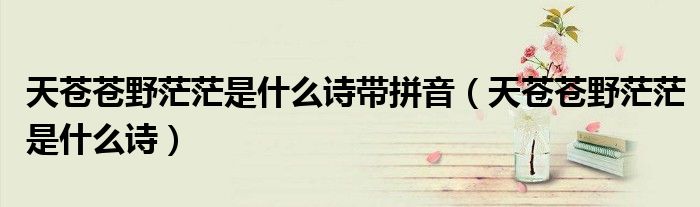 天苍苍野茫茫是什么诗带拼音（天苍苍野茫茫是什么诗）